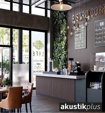 Akustik Plus